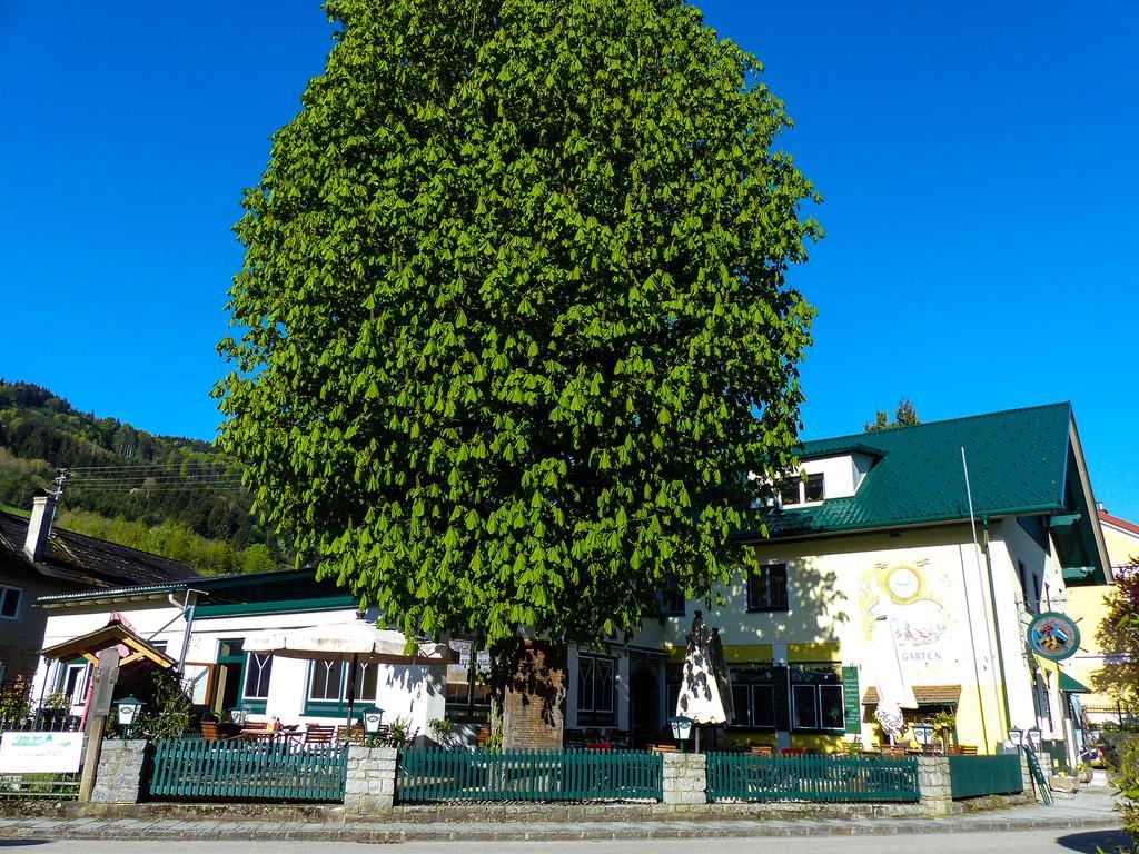 Hotel Zum Schiffmeister Wesenufer Exteriér fotografie