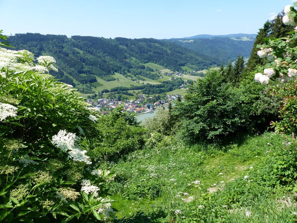 Hotel Zum Schiffmeister Wesenufer Exteriér fotografie